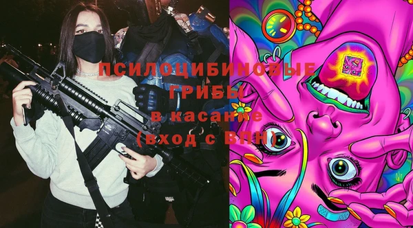 мескалин Дмитриев