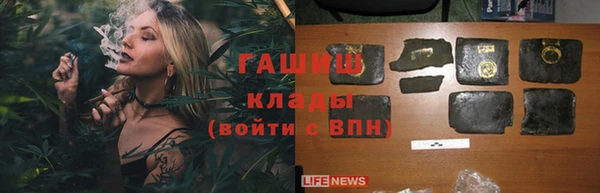 хмурый Няндома