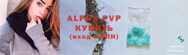 спиды Осинники