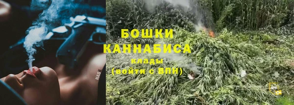 хмурый Няндома